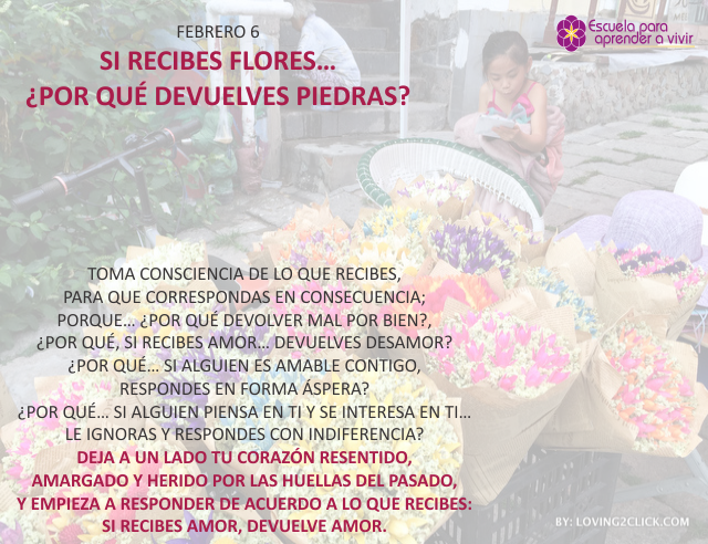 Si recibes flores... ¿por qué devuelves piedras?